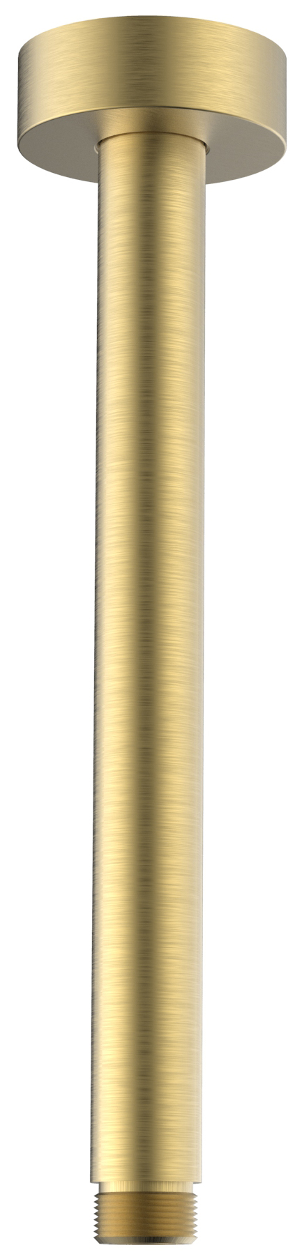 1205-05GB (53312) Sprchové stropní ramínko, kulaté, 200mm, zlato mat 1205-05GB